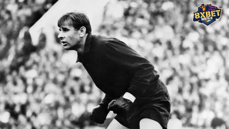 Tổng hợp danh hiệu tập thể Lev Yashin được nhận